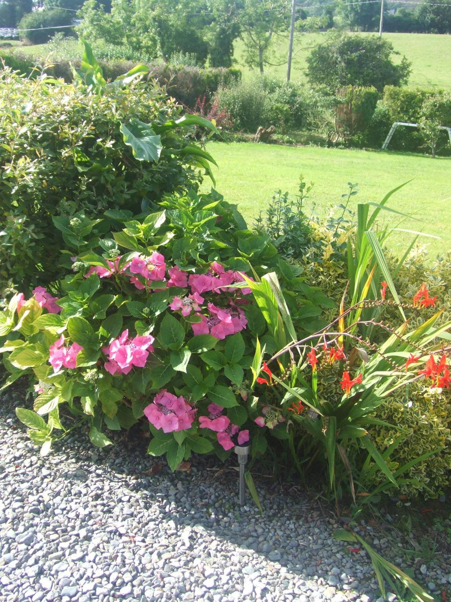 River Meadows B&B Kenmare Exterior photo