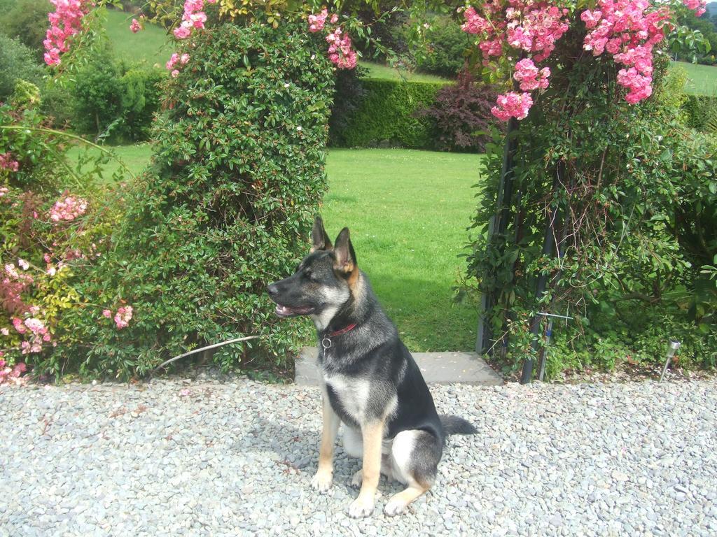 River Meadows B&B Kenmare Exterior photo
